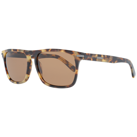 ELITE: Serengeti Sunglasses 8327 Carlo 56 Tortoise