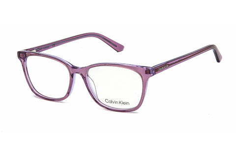 Calvin Klein Eyeglasses CK20509 513