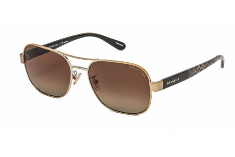 Coach Sunglasses 0HC7116 9005T5