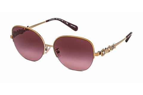 Coach Sunglasses 0HC7118B 93668H