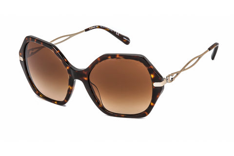 Coach Sunglasses 0HC8315 512074