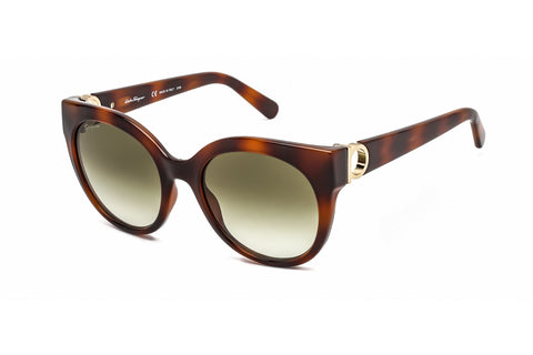 Salvatore Ferragamo Sunglasses SF1031S 214