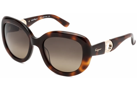 Salvatore Ferragamo Sunglasses SF727S 214