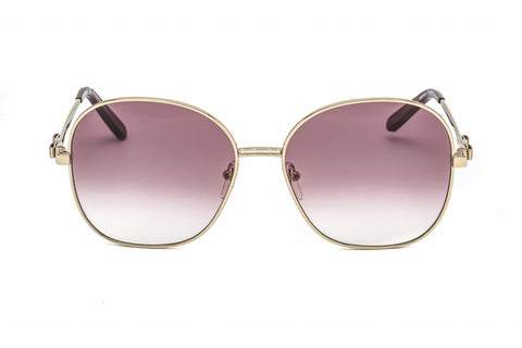 Salvatore Ferragamo Sunglasses SF242S 736
