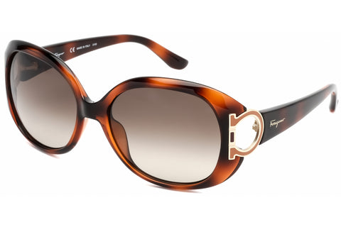Salvatore Ferragamo Sunglasses SF668 238