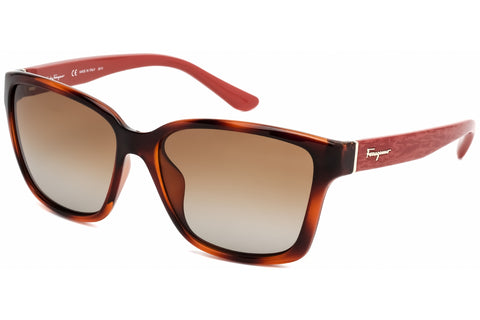 Salvatore Ferragamo Sunglasses SF716S 207