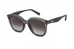 Salvatore Ferragamo Sunglasses SF977S 057
